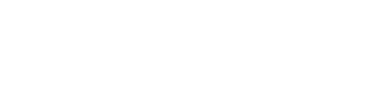 Zero Signal logo